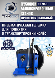 Комплект TS-52D Шиномонтажный стенд+TS-950 Балансировочный станок